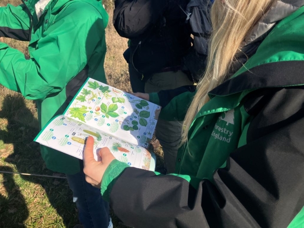 Winter tree ID course_Amy Flower_02032026 (1).jpg